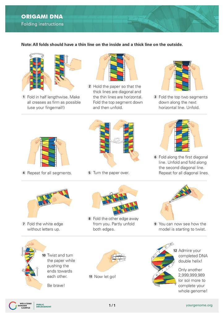 DNA origami | STEM
