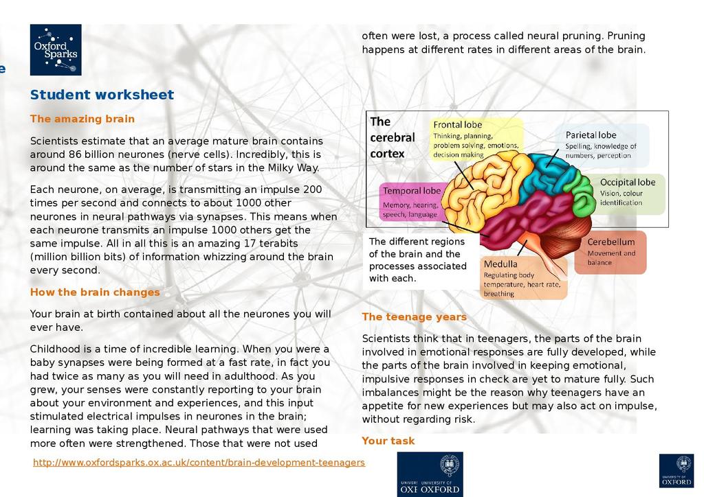 The Brain Game Worksheet Ivuyteq