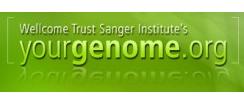 yourgenome.org logo