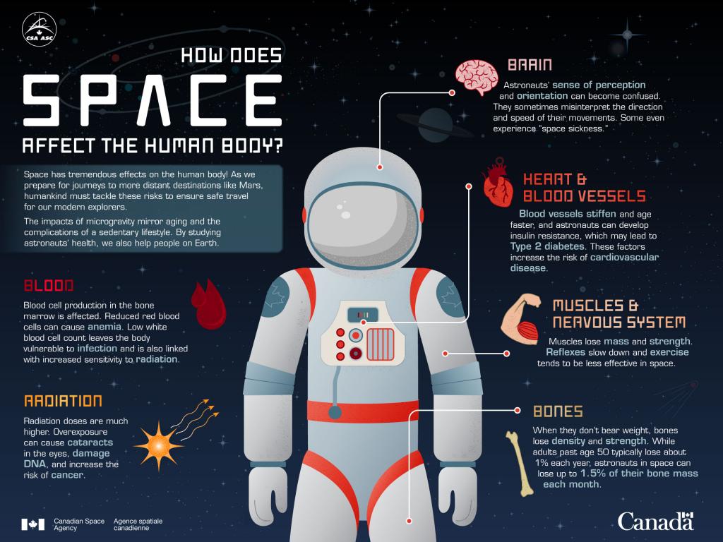 How does space affect the human body? | STEM